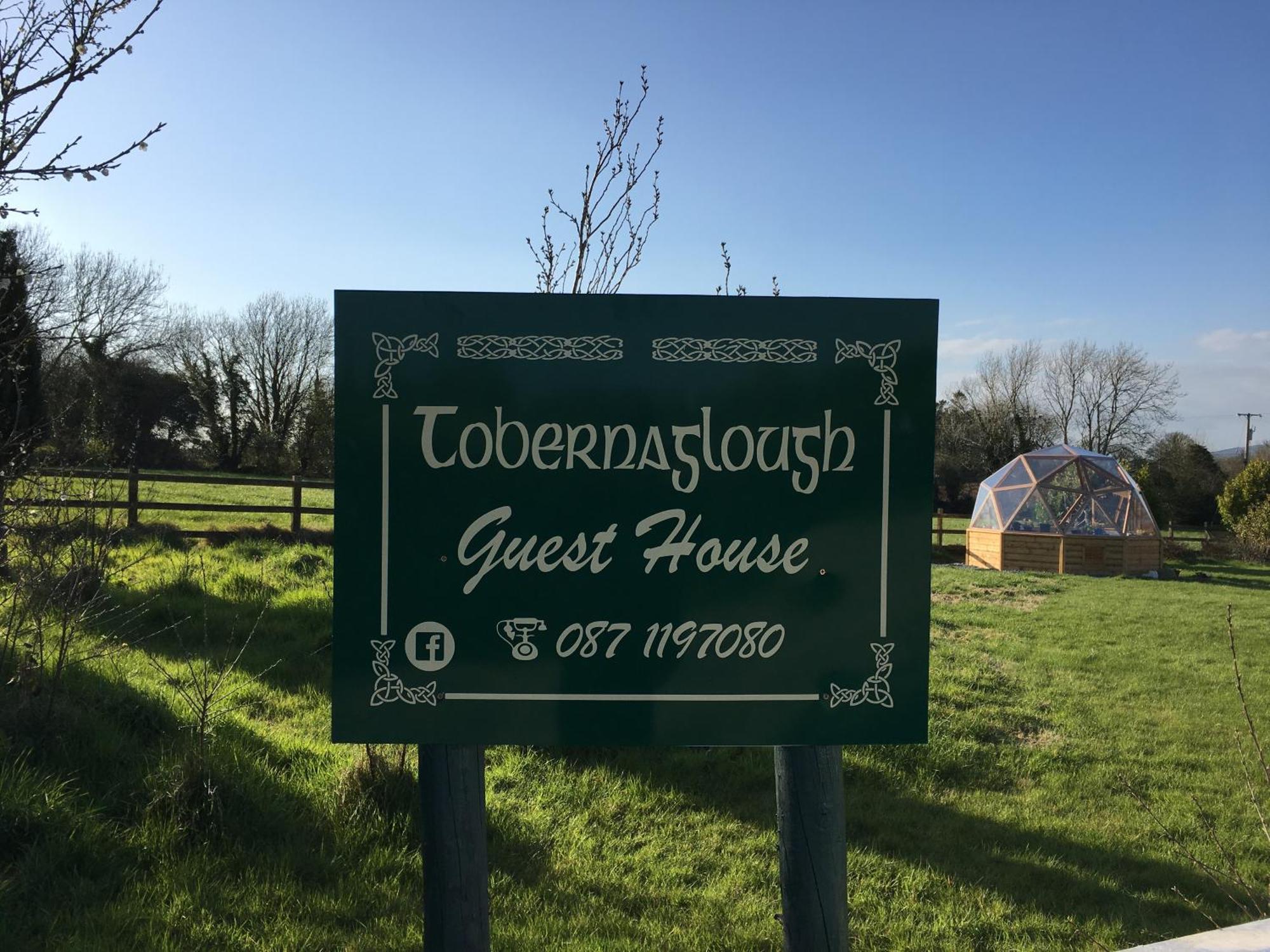 Tobernaglough Wexford Pet Friendly Country B&B Ramsgrange ภายนอก รูปภาพ