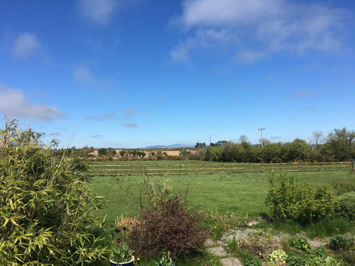 Tobernaglough Wexford Pet Friendly Country B&B Ramsgrange ภายนอก รูปภาพ