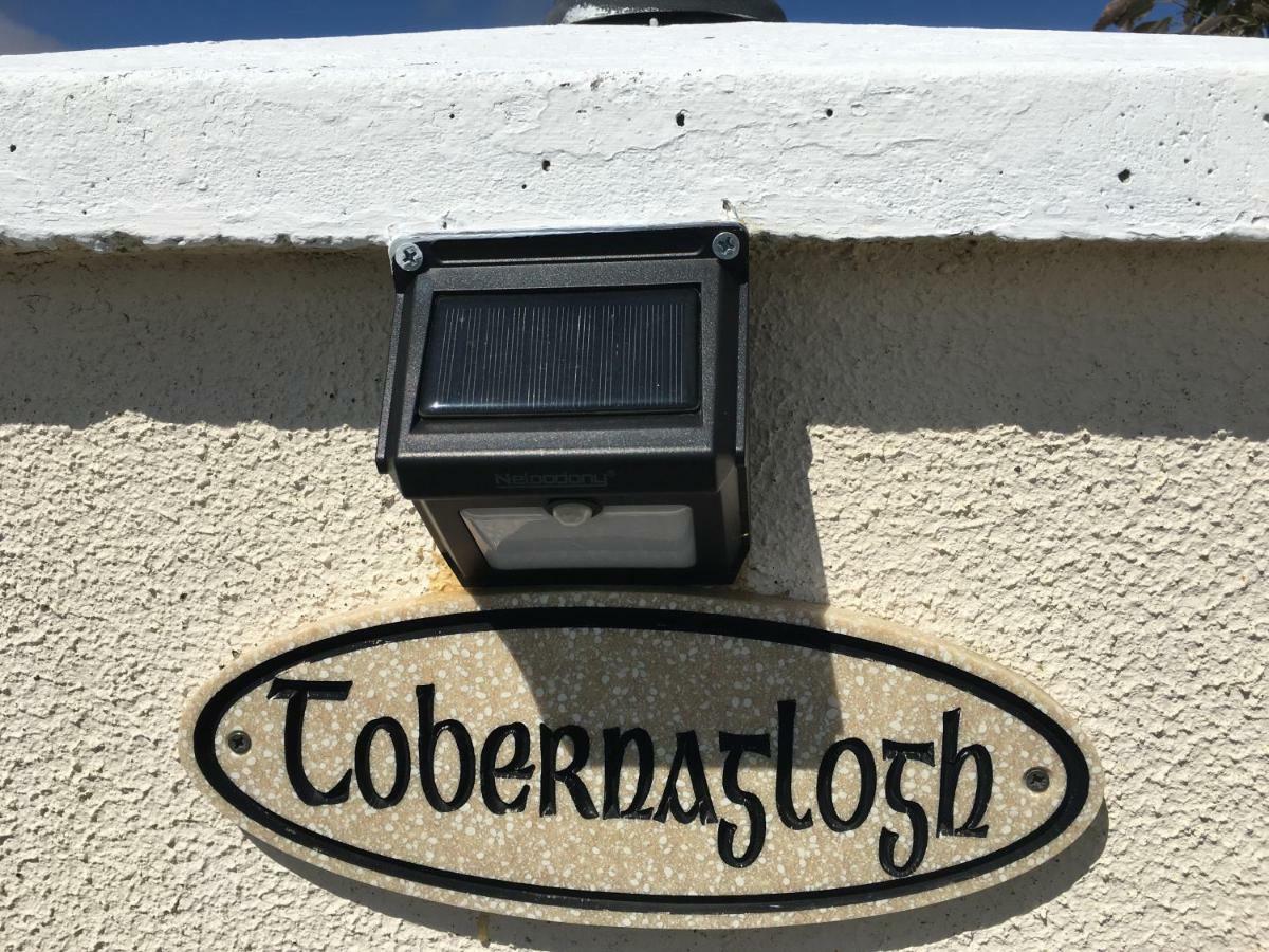 Tobernaglough Wexford Pet Friendly Country B&B Ramsgrange ภายนอก รูปภาพ