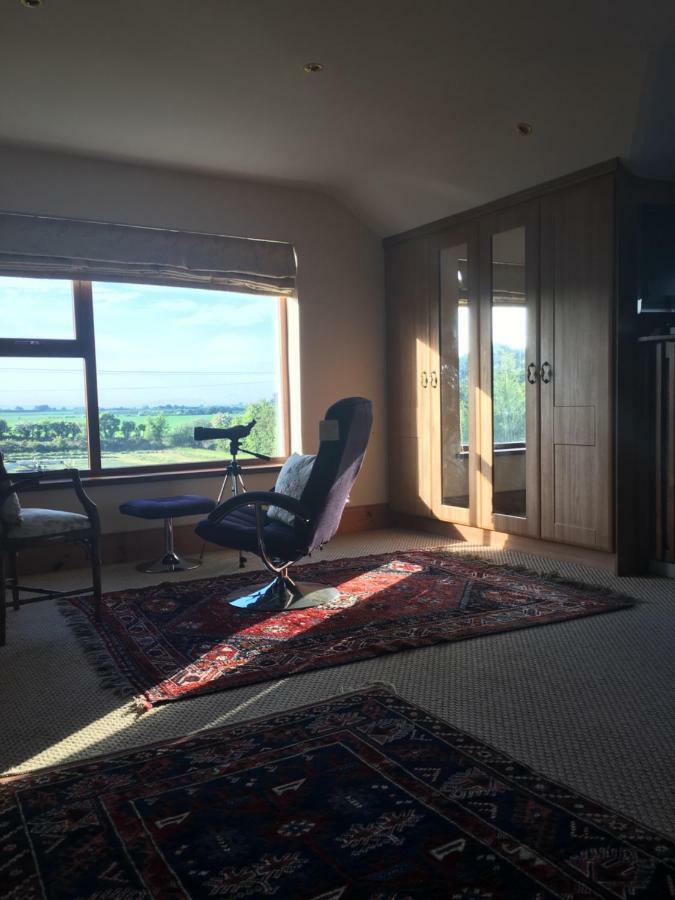 Tobernaglough Wexford Pet Friendly Country B&B Ramsgrange ภายนอก รูปภาพ