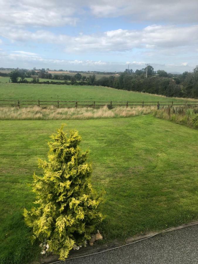 Tobernaglough Wexford Pet Friendly Country B&B Ramsgrange ภายนอก รูปภาพ