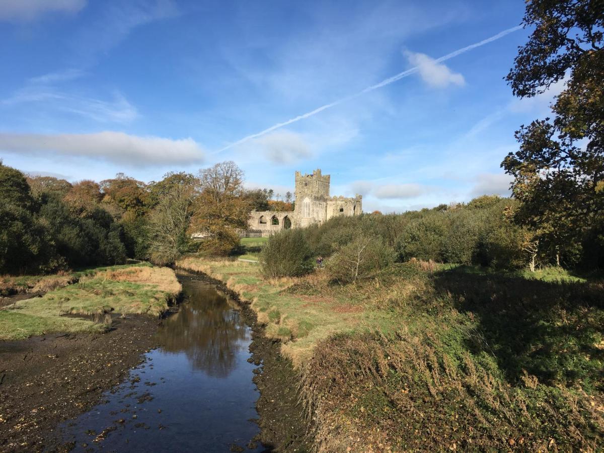 Tobernaglough Wexford Pet Friendly Country B&B Ramsgrange ภายนอก รูปภาพ